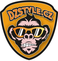 Logo DZ Style new